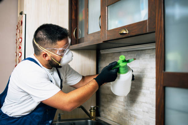 Best Termite Control Services  in Oakdale, LA