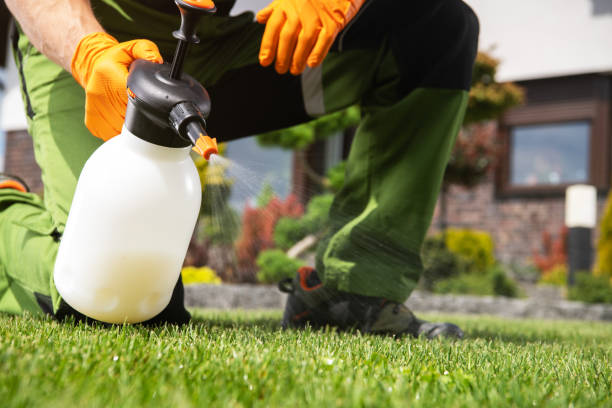 Best Pest Inspection Near Me  in Oakdale, LA