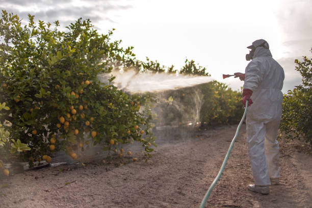 Best Local Pest Control Services  in Oakdale, LA