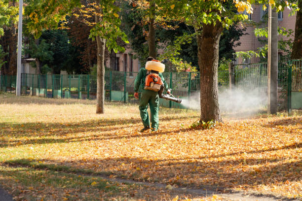 Best Bed Bug Extermination  in Oakdale, LA