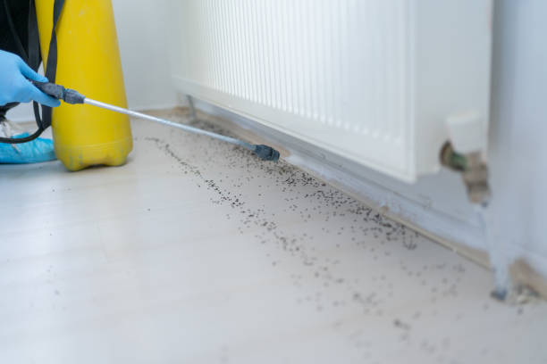 Best Affordable Pest Control Services  in Oakdale, LA