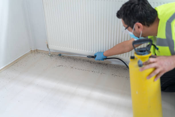 Best Residential Pest Control  in Oakdale, LA